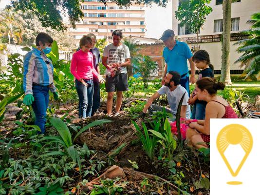 Medellín sostenible: Iniciativas y espacios eco-friendly para cuidar el medio ambiente